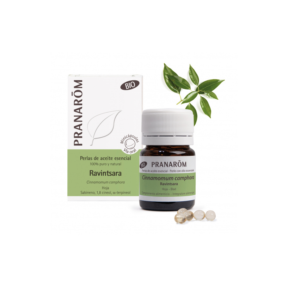 Pranarom Minicaps Ravintsara