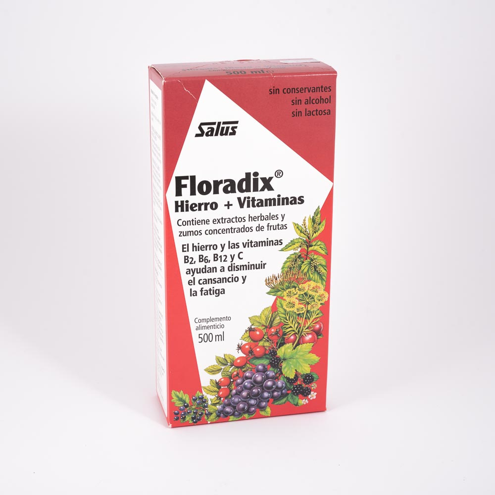 Salus Floradix 500 Jarabe