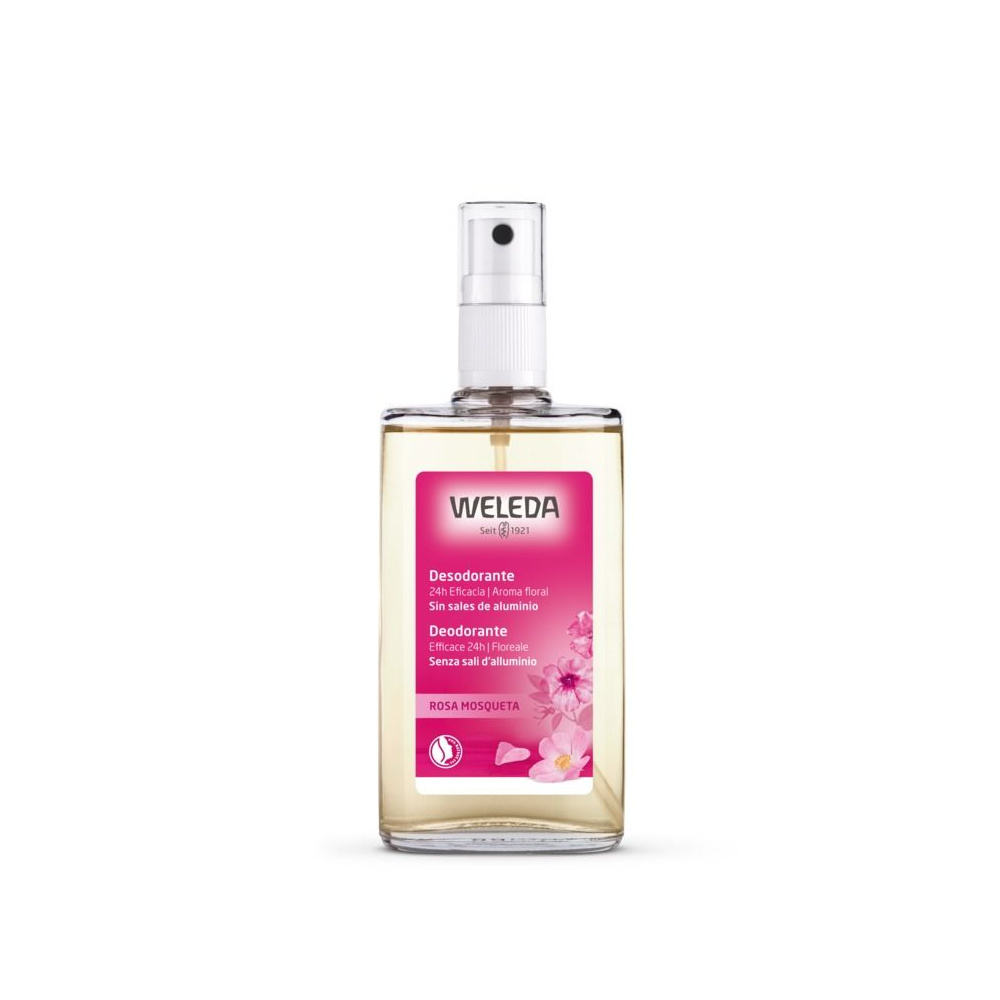 Weleda Desodorante De Rosa 100
