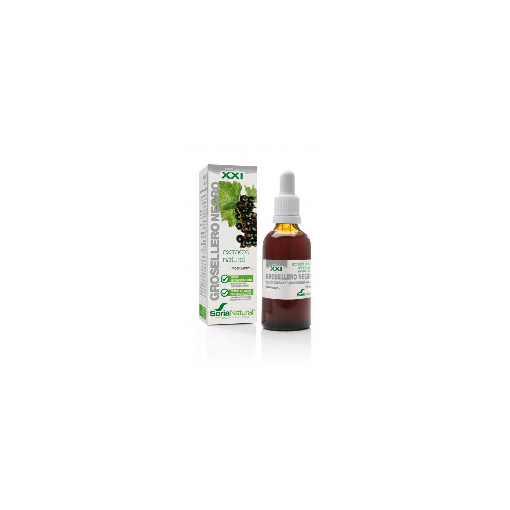 Soria Natural Extracto Grosellero Negro