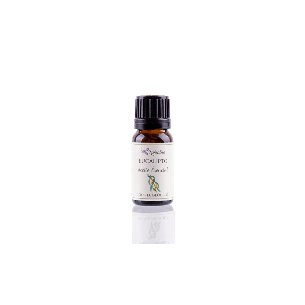 Labiatae Aceite E Eucalipto