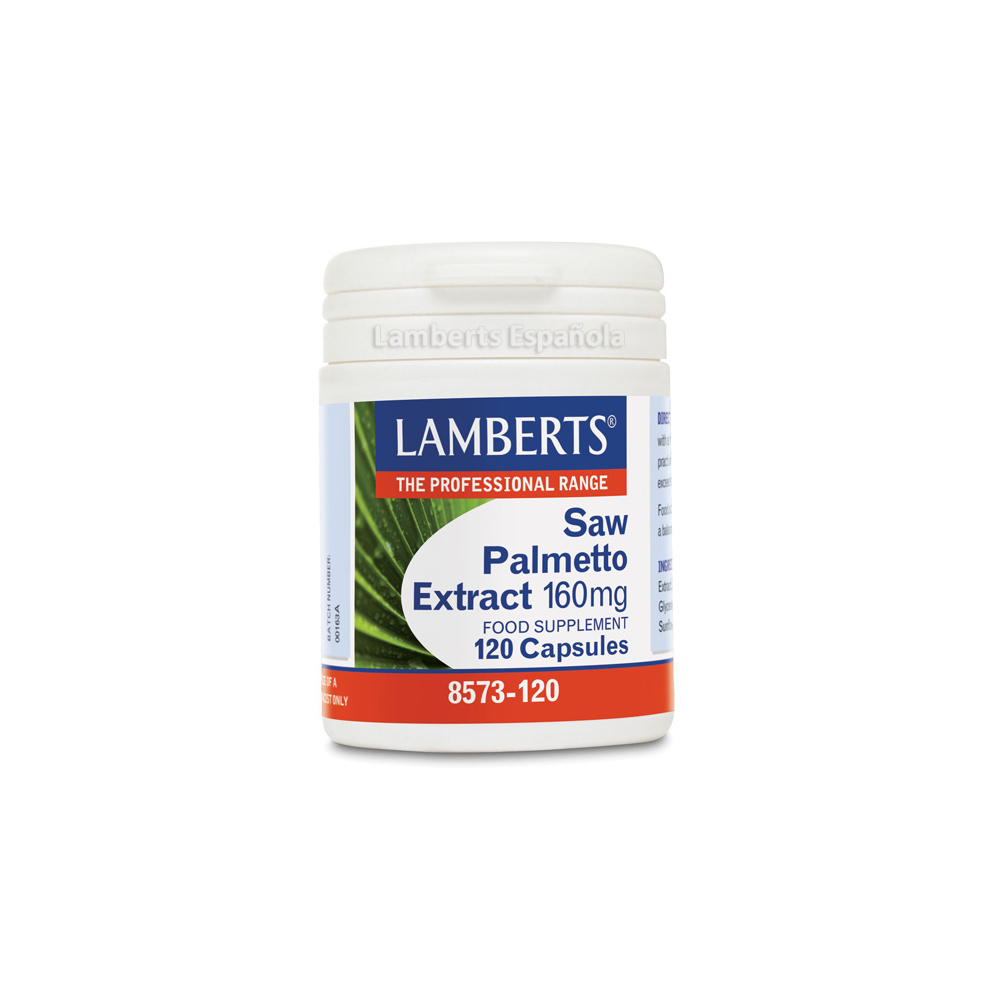 Lamberts Saw Palmetto