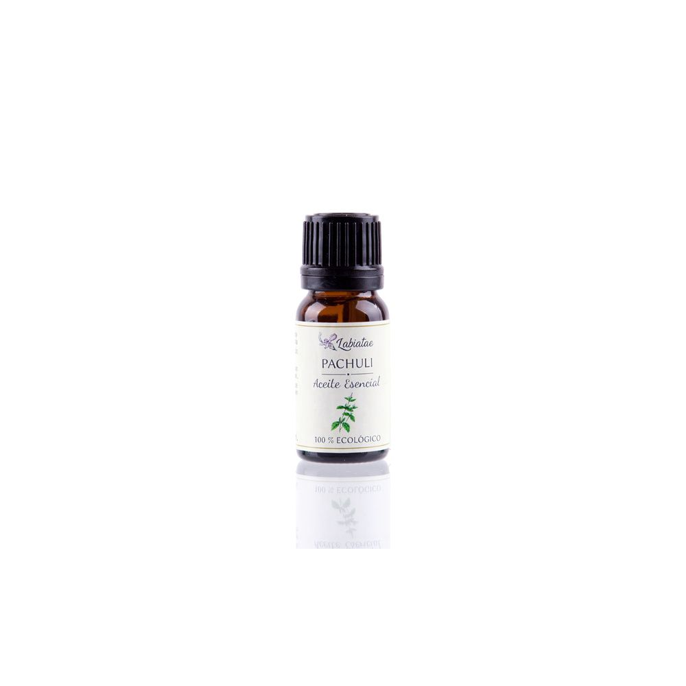 Labiatae Aceite Esencial Pachuli