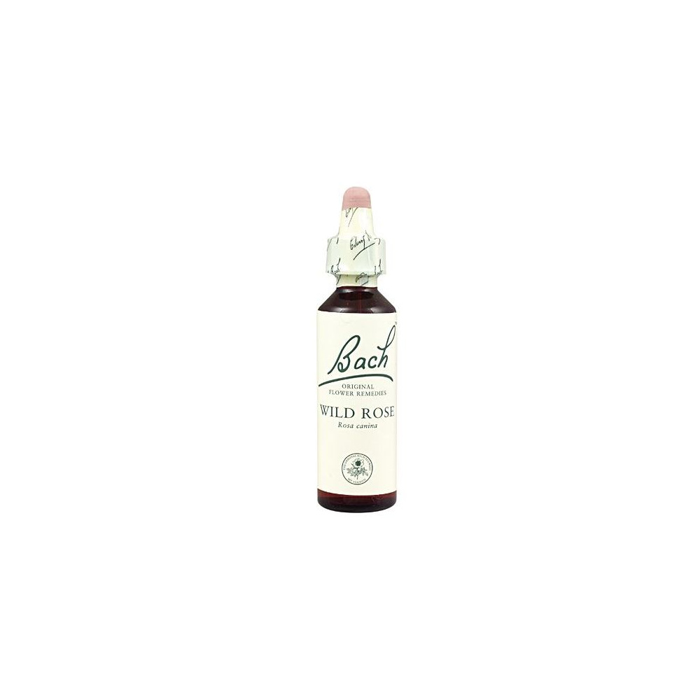 Flores Bach 37 Wild Rose*