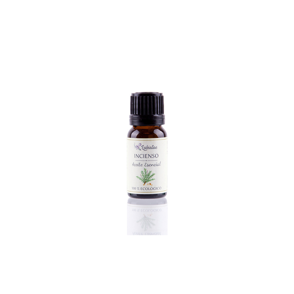 Labiatae Aceite Esencial Incienso