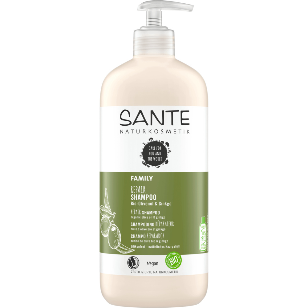 Sante Champu 500 Ml Ginkgo
