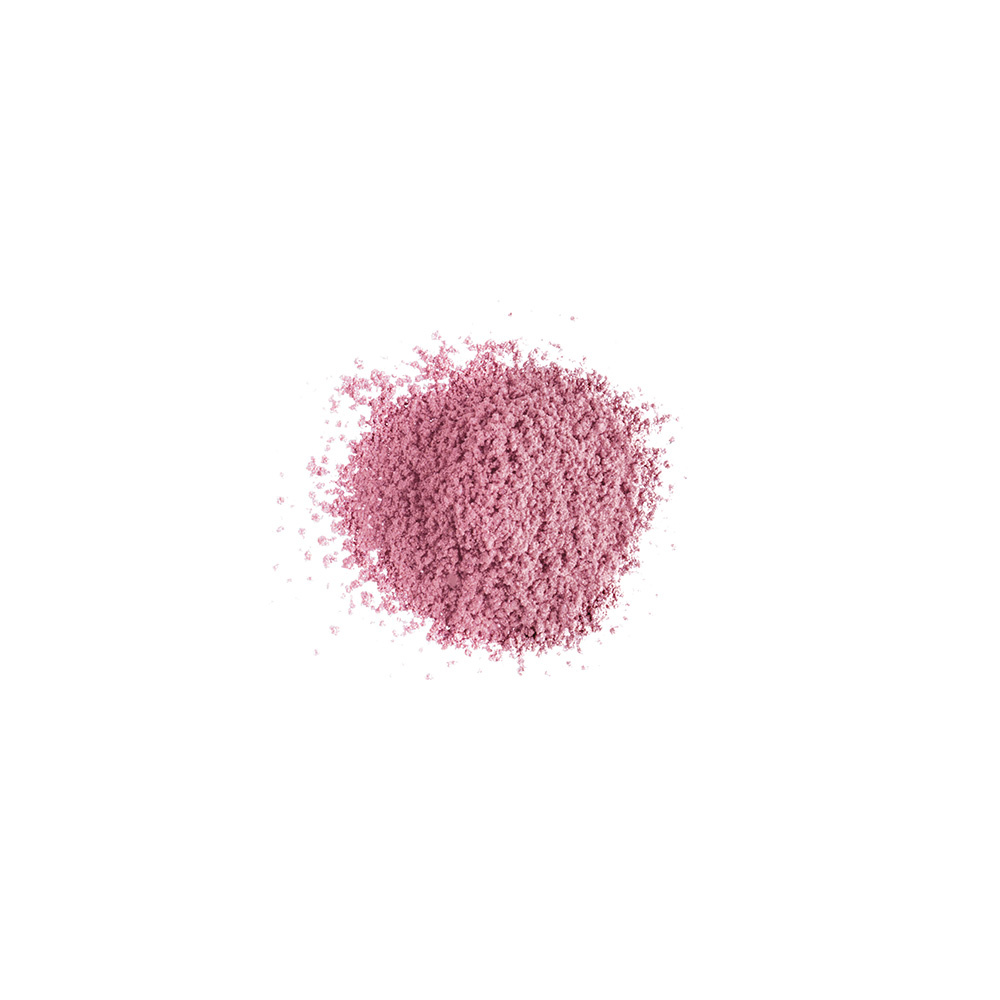 Lily Lolo Colorete Mineral Surfer Girl