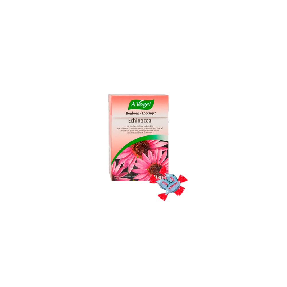 Vogel Caramelos Equinacea 30 Gr