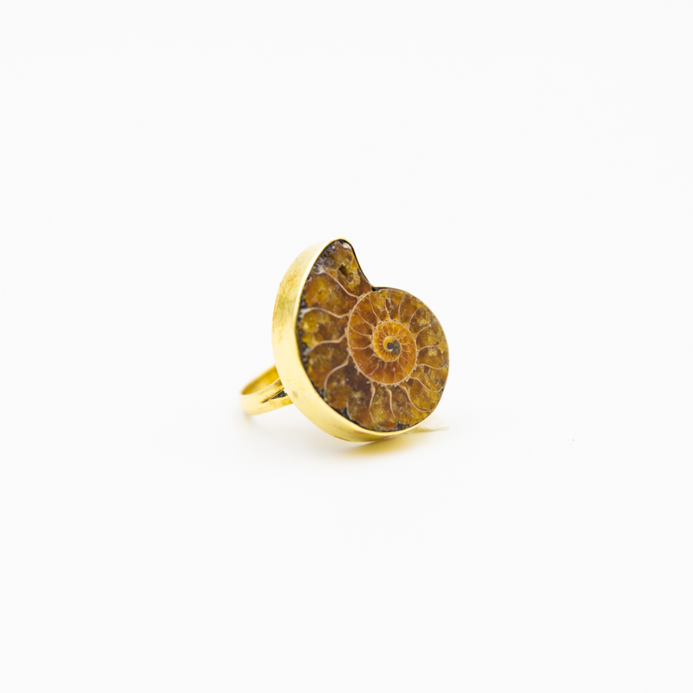 Mineral Anillo Bronce Ammonite